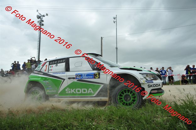 DSC_7084.JPG